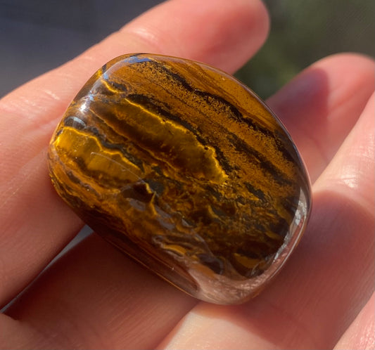 Harmonious Tiger's Eye Tumble Stones